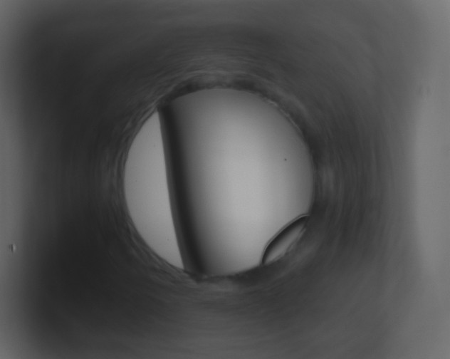 X0000101461250200807071125