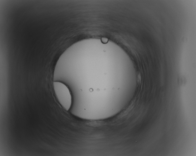 X0000101461251200807071125