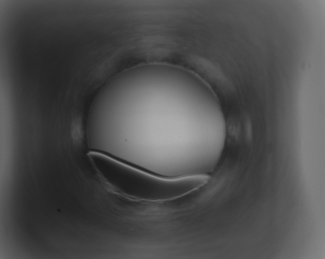 X0000101461252200807071125