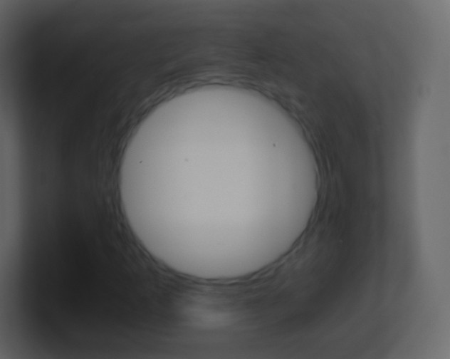 X0000101461253200807071124