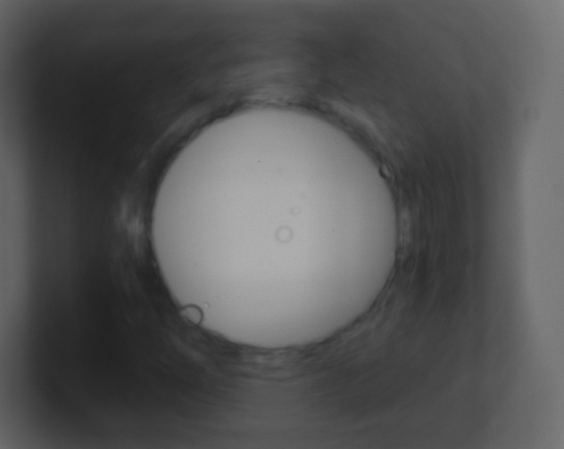 X0000101461254200807071124