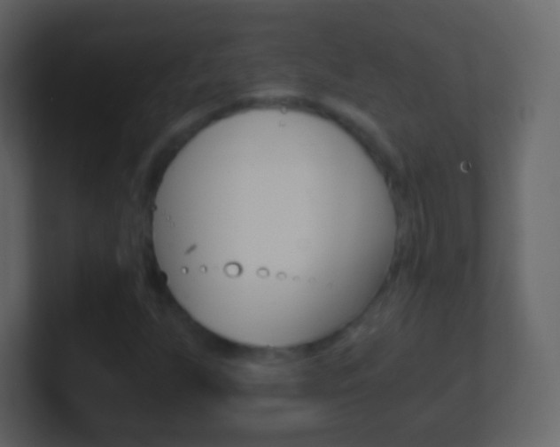 X0000101461255200807071124
