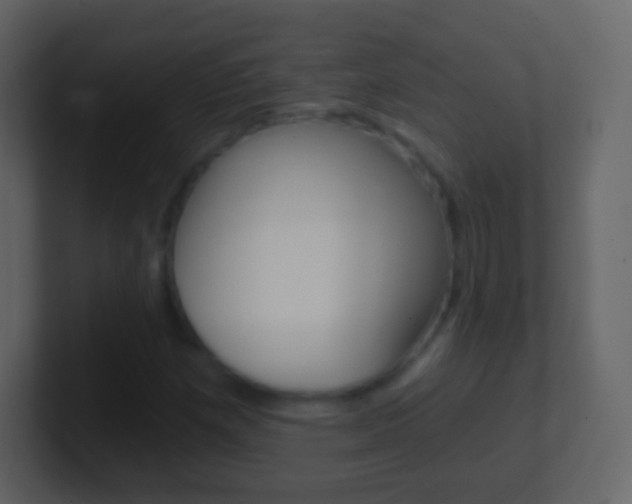 X0000101461257200807071124