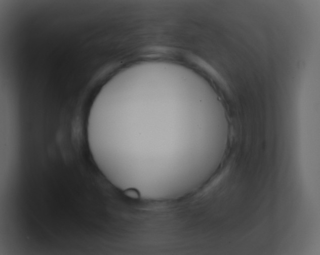 X0000101461259200807071124