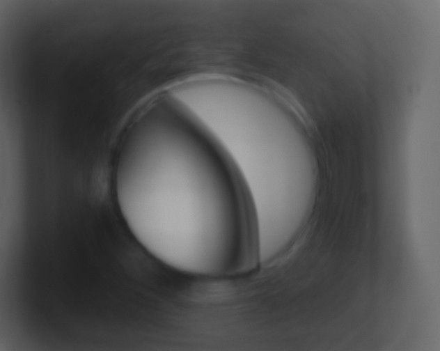 X0000101461260200807071124