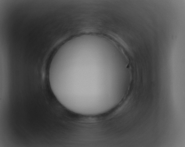 X0000101461261200807071124
