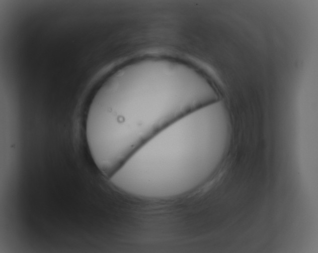 X0000101461263200807071124