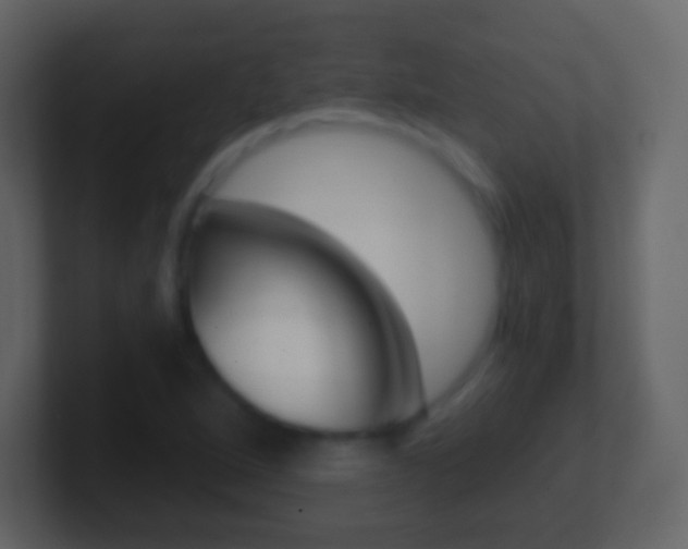 X0000101461264200807071124