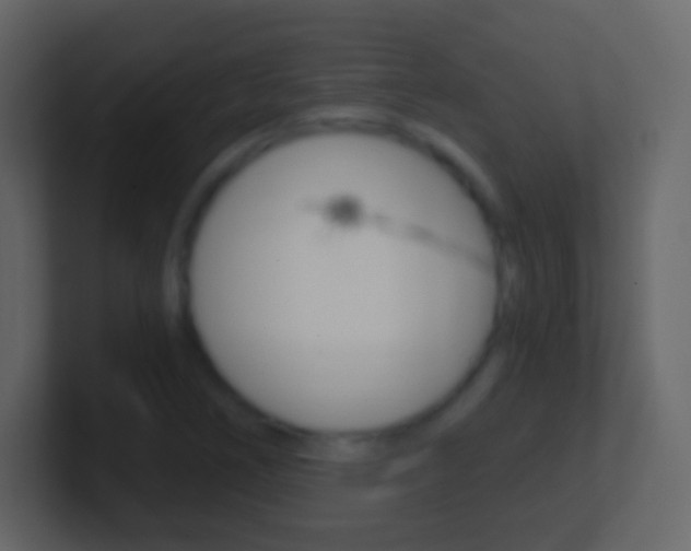 X0000101461266200807071124