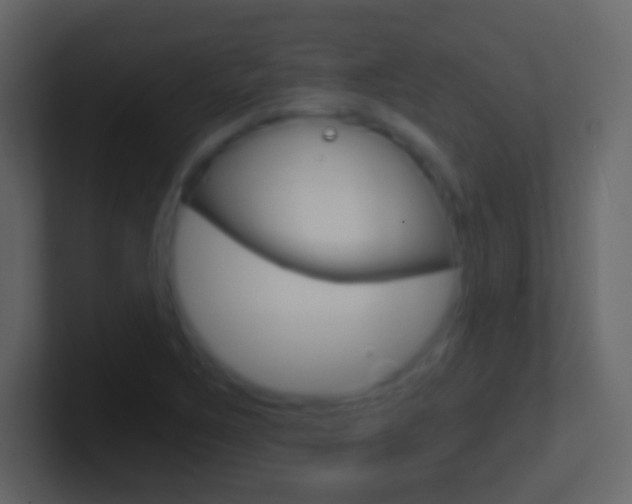 X0000101461267200807071124