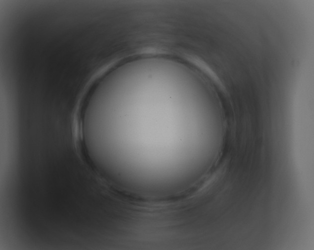 X0000101461269200807071124