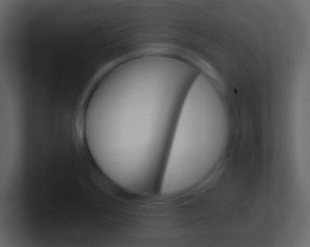 X0000101461275200807071124