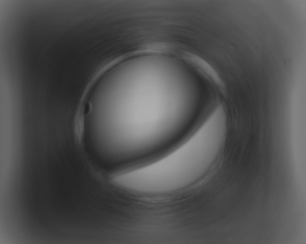 X0000101461276200807071124