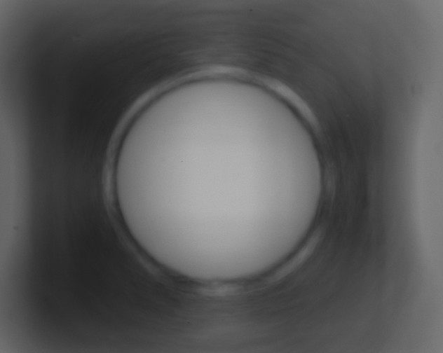X0000101461278200807071124