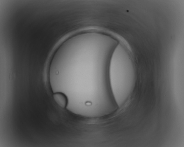 X0000101461279200807071124