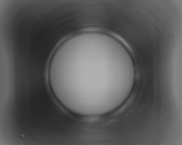 X0000101461282200807071124