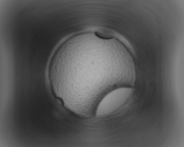 X0000101461283200807071124