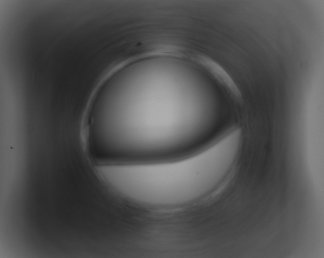 X0000101461284200807071124