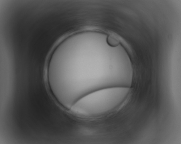 X0000101461286200807071124