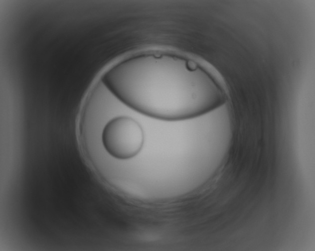 X0000101461287200807071124