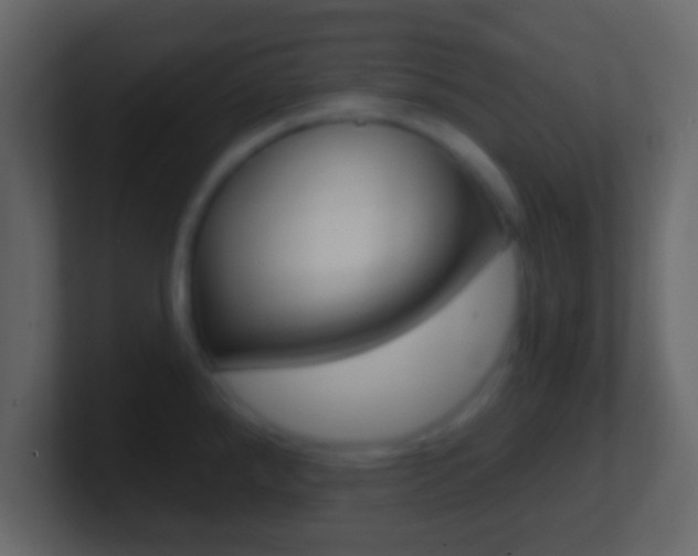 X0000101461288200807071124