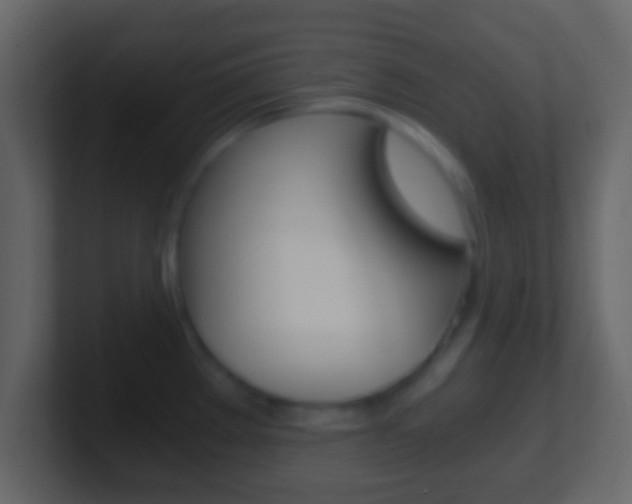 X0000101461289200807071124