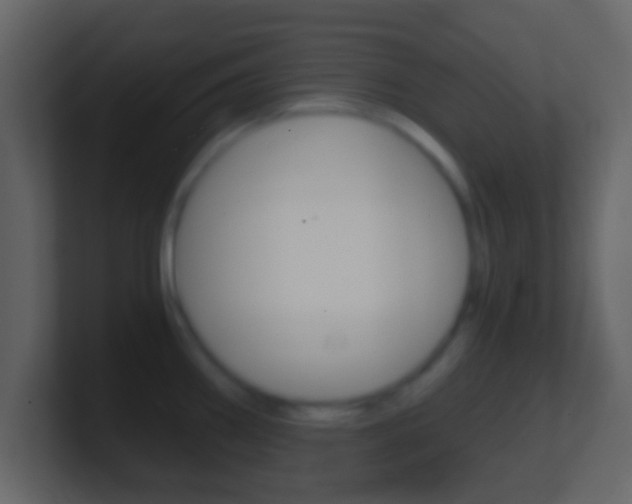 X0000101461290200807071124