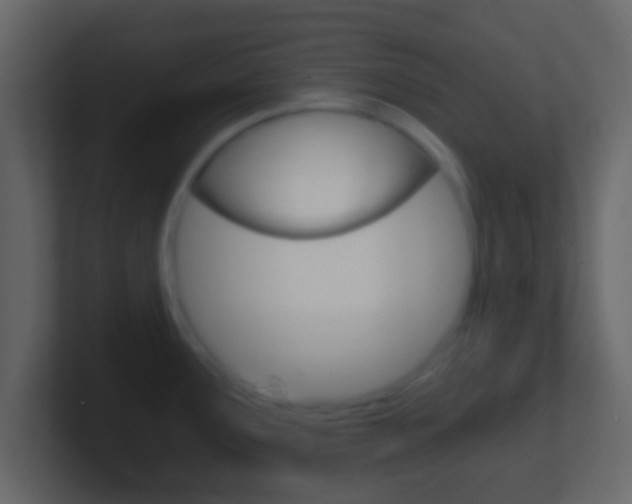 X0000101461291200807071124