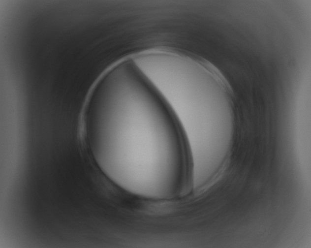 X0000101461292200807071124