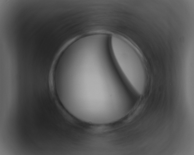 X0000101461293200807071124