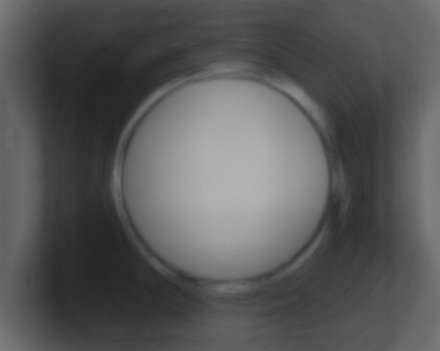 X0000101461294200807071124