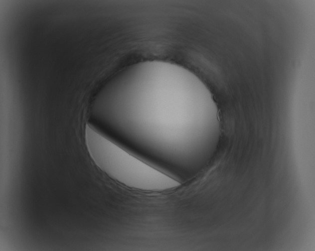 X0000101461297200807071123