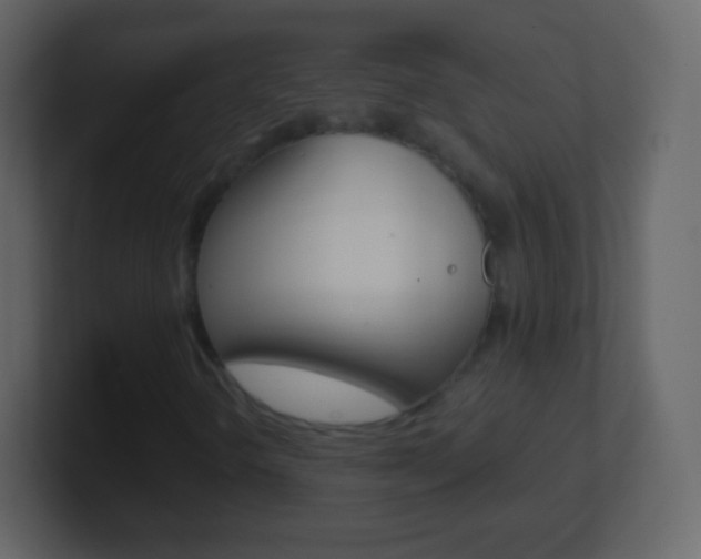 X0000101461298200807071123