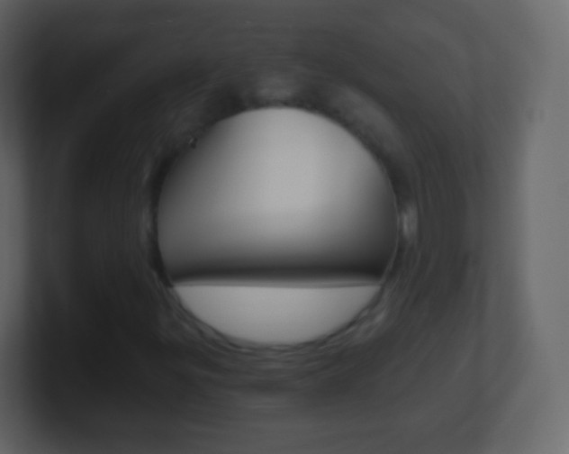 X0000101461299200807071123