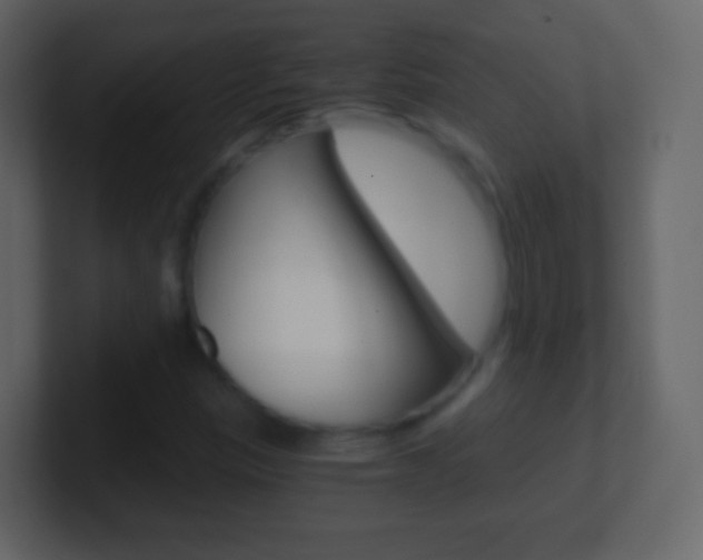 X0000101461305200807071123