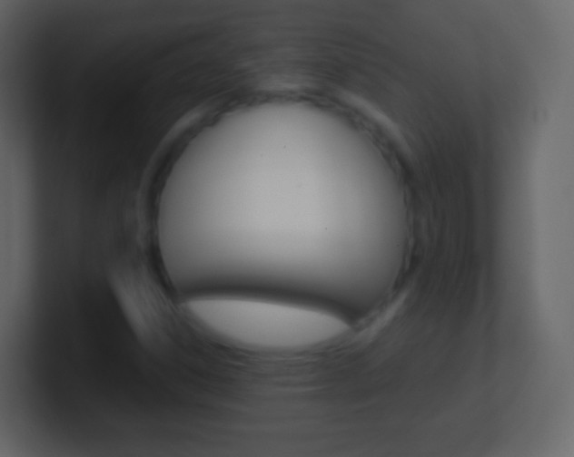 X0000101461306200807071123