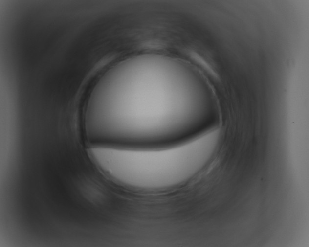 X0000101461307200807071123