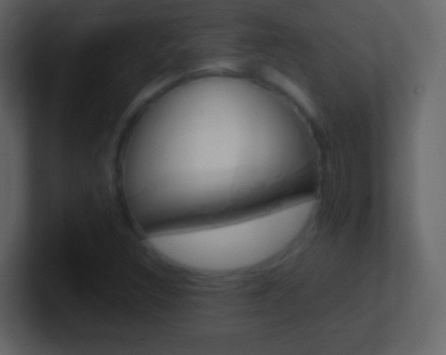 X0000101461308200807071123