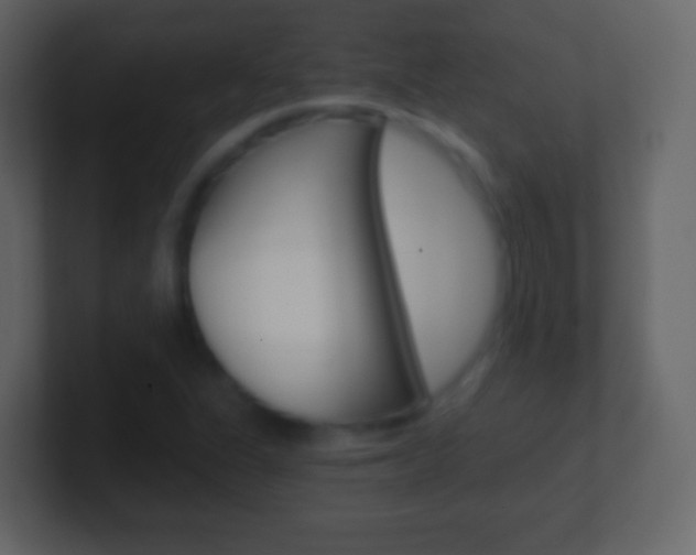 X0000101461311200807071123