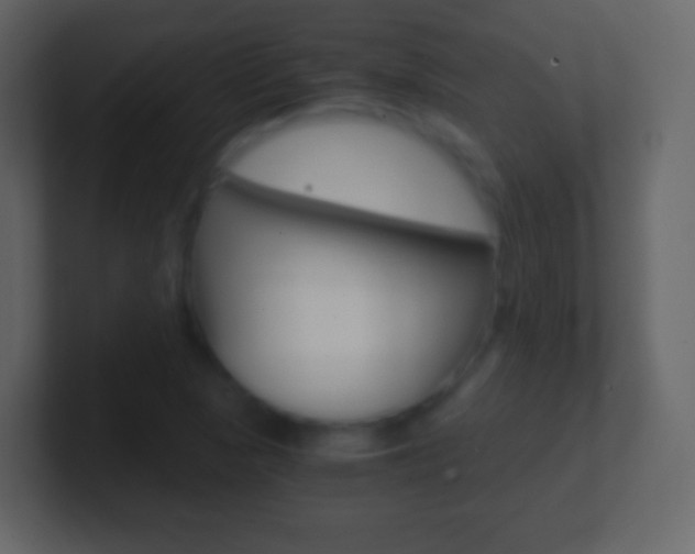 X0000101461313200807071123
