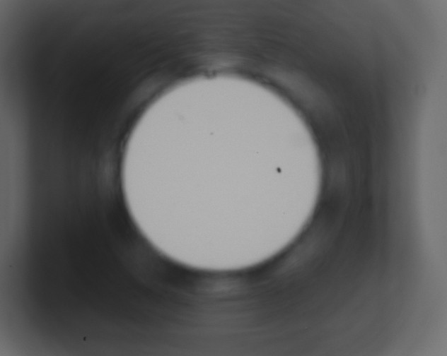 X0000101461314200807071123