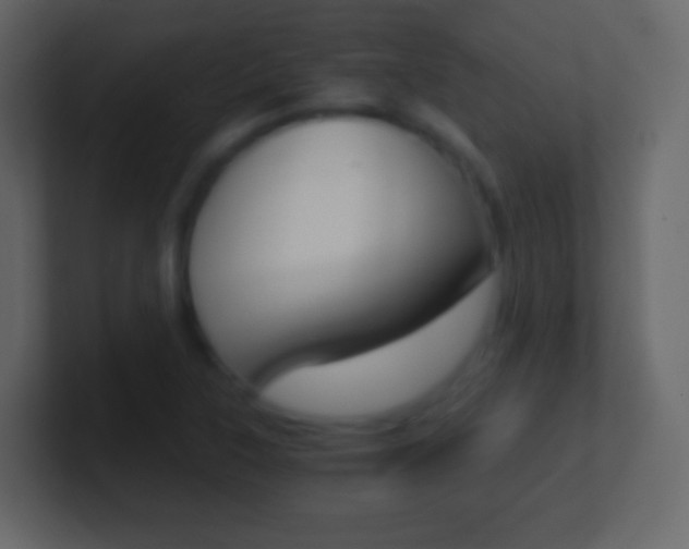 X0000101461315200807071123
