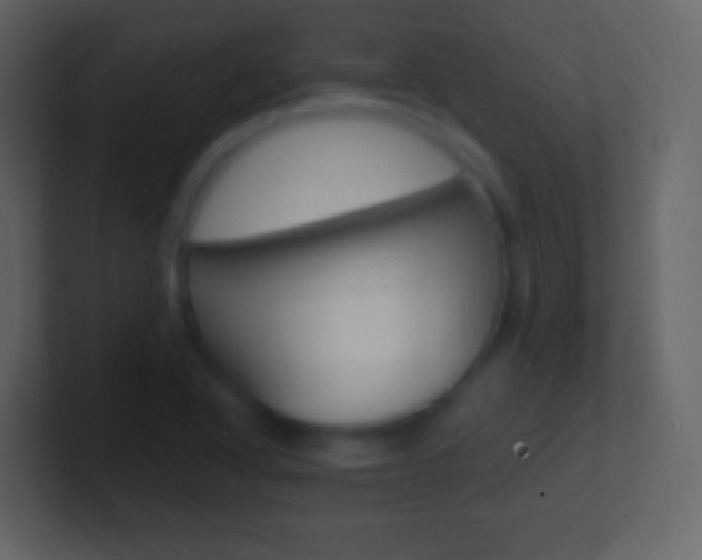 X0000101461318200807071123