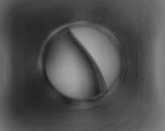X0000101461319200807071123
