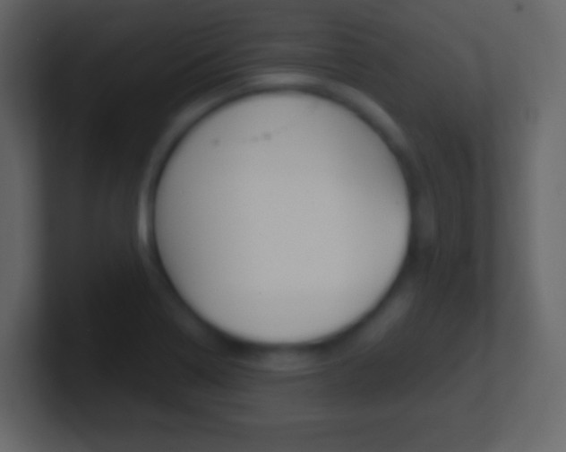 X0000101461322200807071123