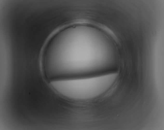 X0000101461326200807071123