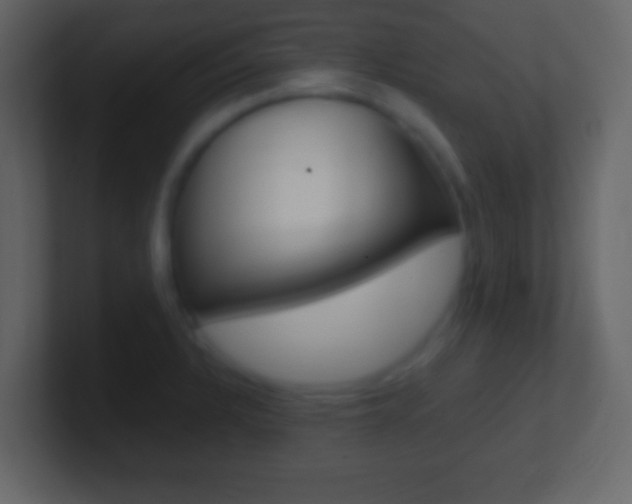 X0000101461328200807071124