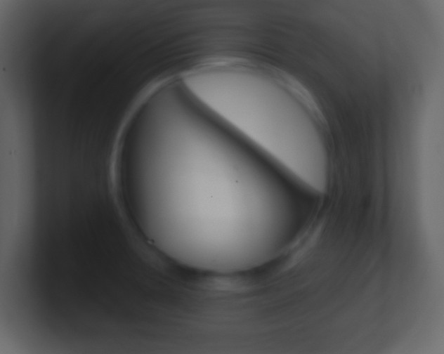 X0000101461330200807071124