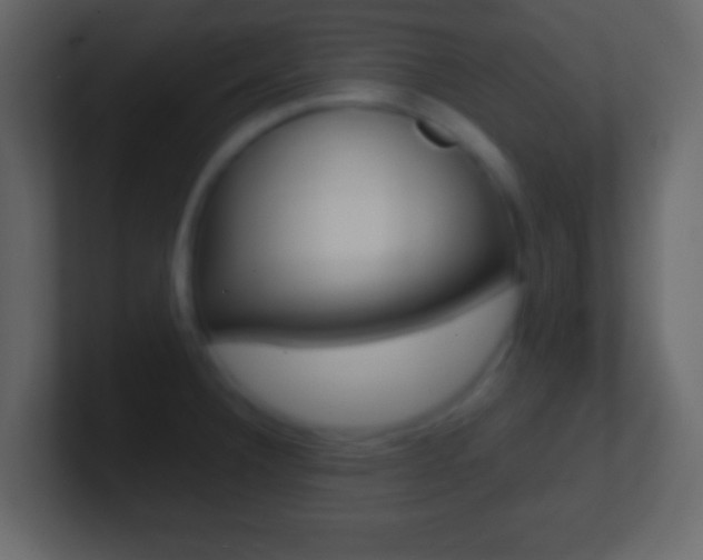 X0000101461332200807071124