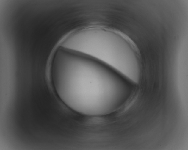 X0000101461333200807071124